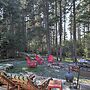 Cozy Cottage on Cat Cove w/ Wraparound Deck!