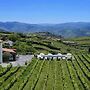 Casa do Santo - Wine & Tourism