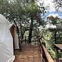 MANDALA CAMP