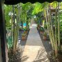 Green Oasis Hotel