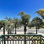 Tavira Palm Tree by Homing