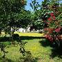 Saint Francis Bed & Breakfast