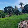 Arboreto Camping