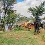 Frama Nature Adventure