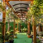 Put Mladih Muslimana 16