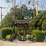 ViangPhing Resort