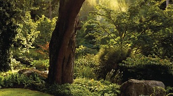 Huka Lodge, Beckons