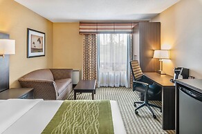 Comfort Inn Chatham