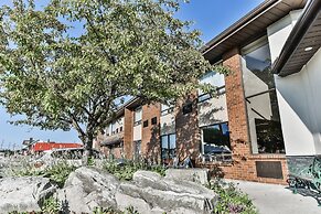 Comfort Inn Chatham
