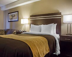 Comfort Inn Guelph