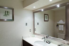 Holiday Inn & Suites Windsor Ambassador Bridge by IHG