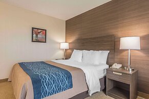 Comfort Inn Levis