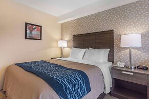 Comfort Inn Levis