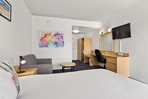 Zebra Motel