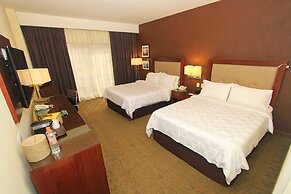 Holiday Inn Leon by IHG