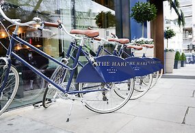 The Hari