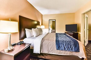 Comfort Inn & Suites Ambassador Bridge