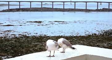 ibis Roscoff bord de mer