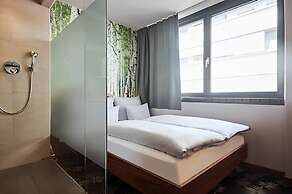 Cocoon Stachus