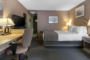 Flamingo Hotel