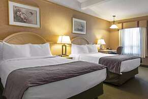 Flamingo Hotel