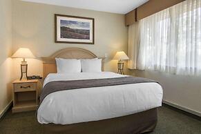Flamingo Hotel