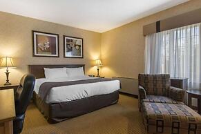 Flamingo Hotel