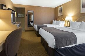 Flamingo Hotel