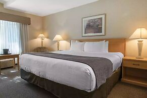 Flamingo Hotel