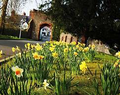 Ruthin Castle Hotel