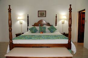 Negril Tree House Resort