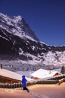 Hotel Spinne