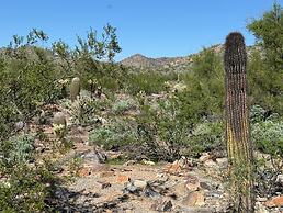 Hilton Scottsdale Resort & Villas