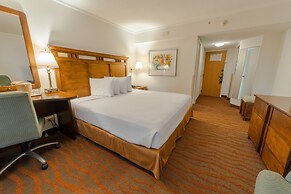 Irazu Hotel & Studios