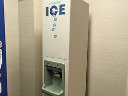 ART HOTEL NARITA