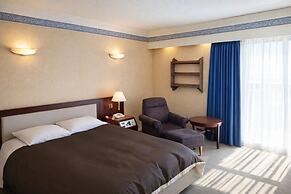 ART HOTEL NARITA