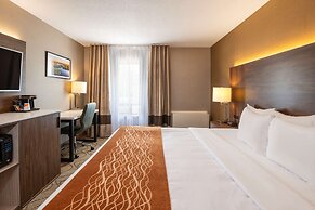 Comfort Inn Lakeshore