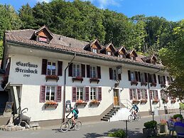 Historic Hotel Steinbock