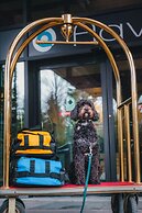 Aava Whistler Hotel