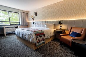 Everwild Canmore Hotel