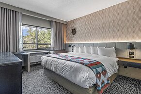 Everwild Canmore Hotel