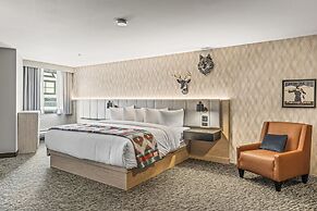 Everwild Canmore Hotel