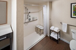Hampton Inn & Suites Asheville Airport