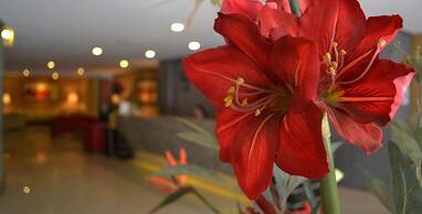 Hotel Alborada