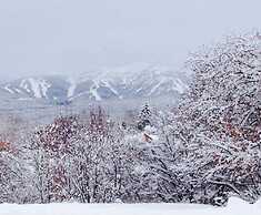Apres Whitefish