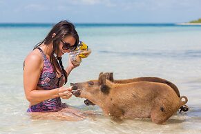 Green Turtle Club Resort & Marina