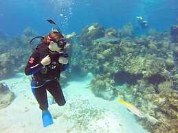 Green Turtle Club Resort & Marina