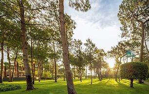 Balmy Foresta