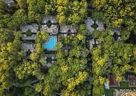 Balmy Foresta