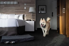Elk + Avenue Hotel